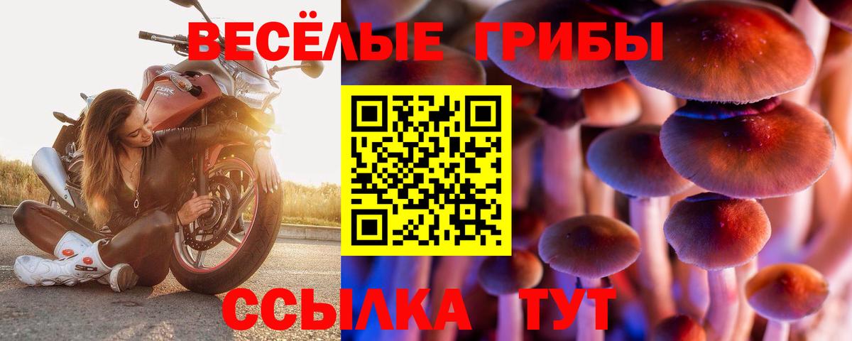 даркнет сайт  Галлюциногенные грибы мицелий  Псилоцибиновые грибы Psilocybe  Вход с VPN  Барнаул 